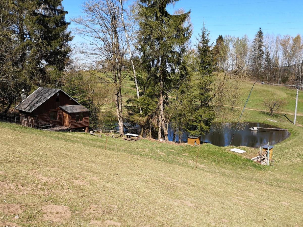 Srub Na Svahu Sjezdovky V Radvanicich Radvanice  Extérieur photo