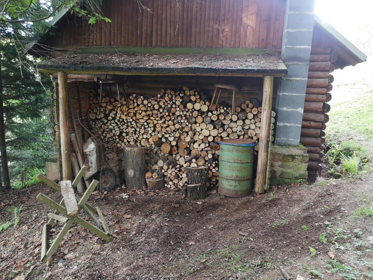 Srub Na Svahu Sjezdovky V Radvanicich Radvanice  Extérieur photo