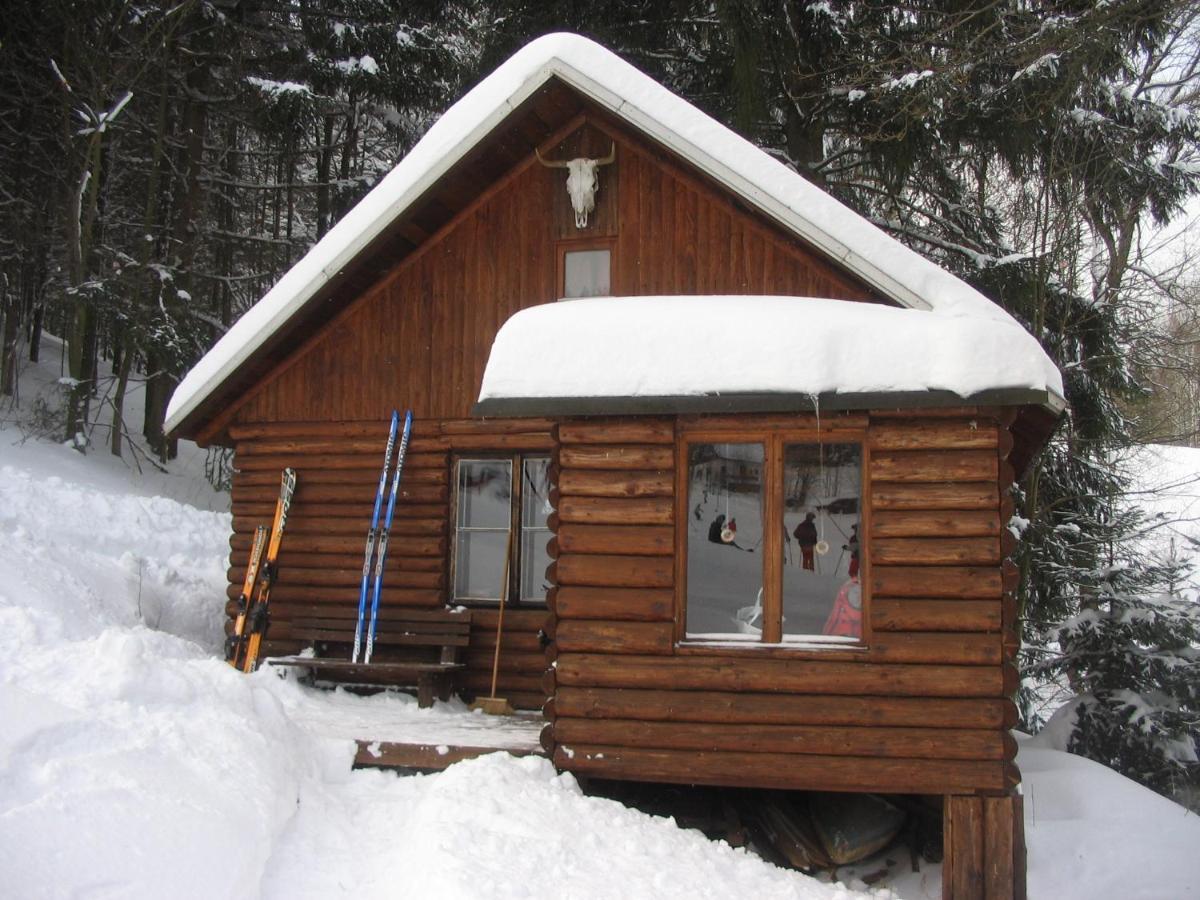 Srub Na Svahu Sjezdovky V Radvanicich Radvanice  Extérieur photo